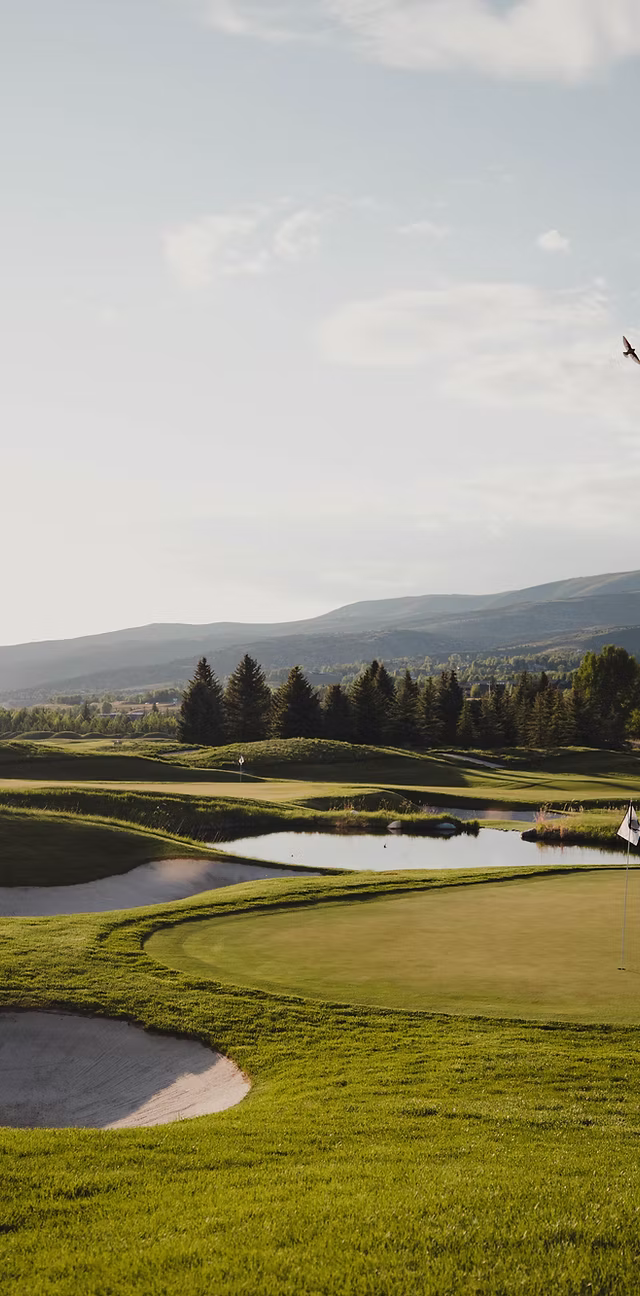 Golf course landscape