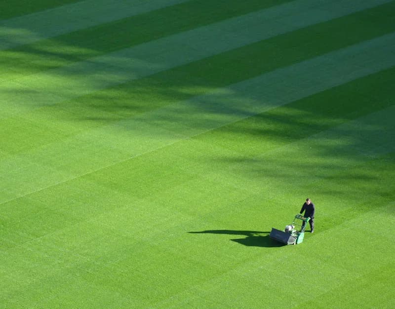 Golfers walking across the course