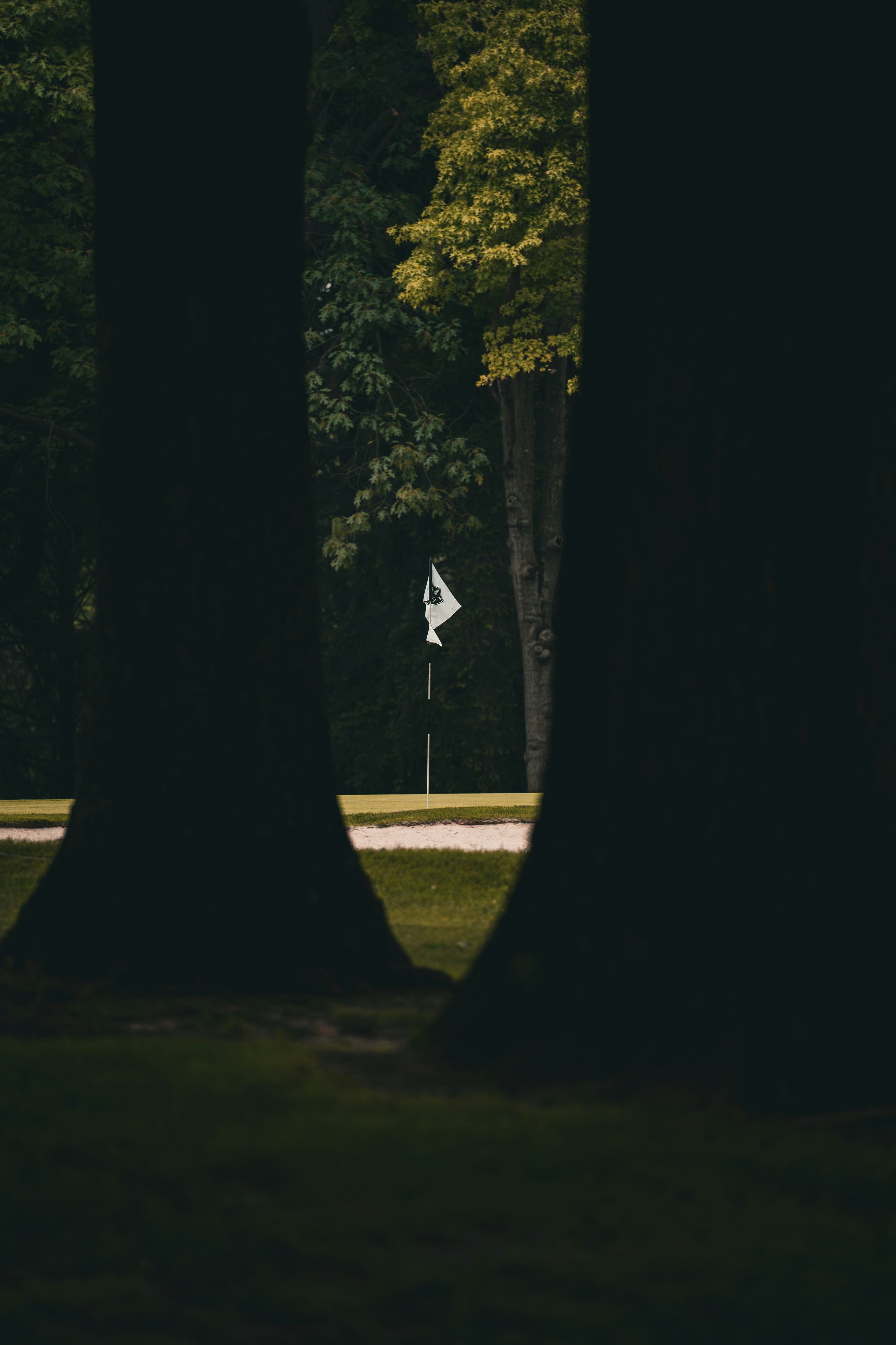 Golf course landscape
